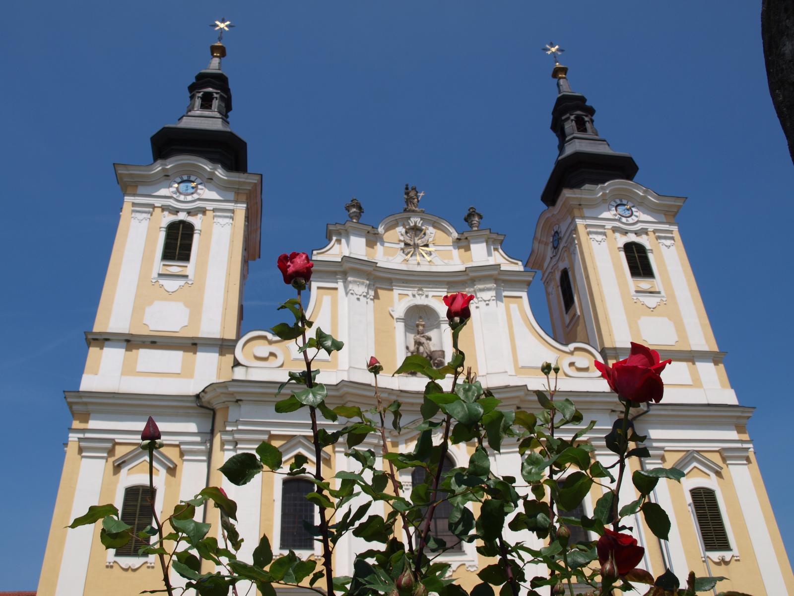 user supplied image